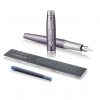 Перьевая ручка Parker IM Premium, F323, Dark Violet CT