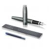 Перьевая ручка Parker IM Premium Dark Green CT